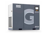 GA 37 - 55 VSD